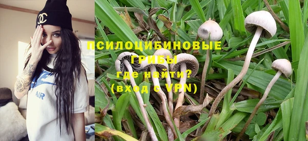 винт Аркадак