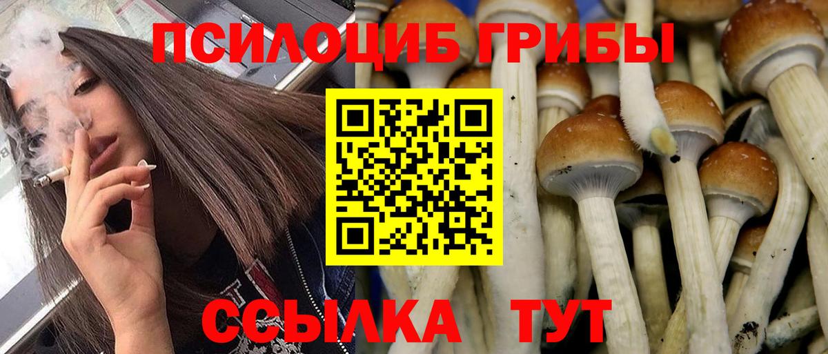 Галлюциногенные грибы Cubensis Муравленко