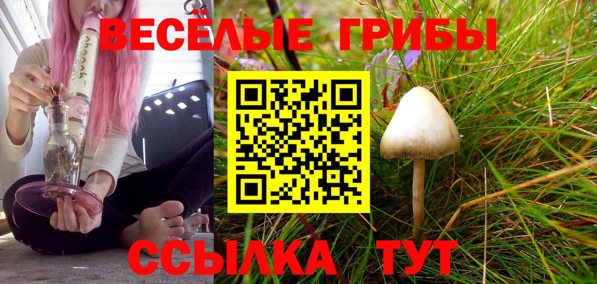 Галлюциногенные грибы Муравленко